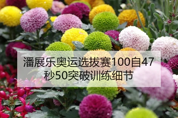 潘展乐奥运选拔赛100自47秒50突破训练细节